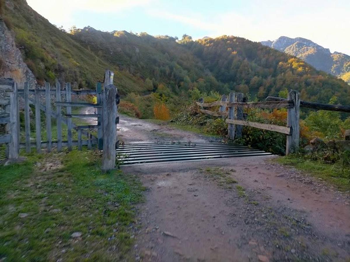 Fotos: Ruta otoñal hasta el refugio de Brañagallones