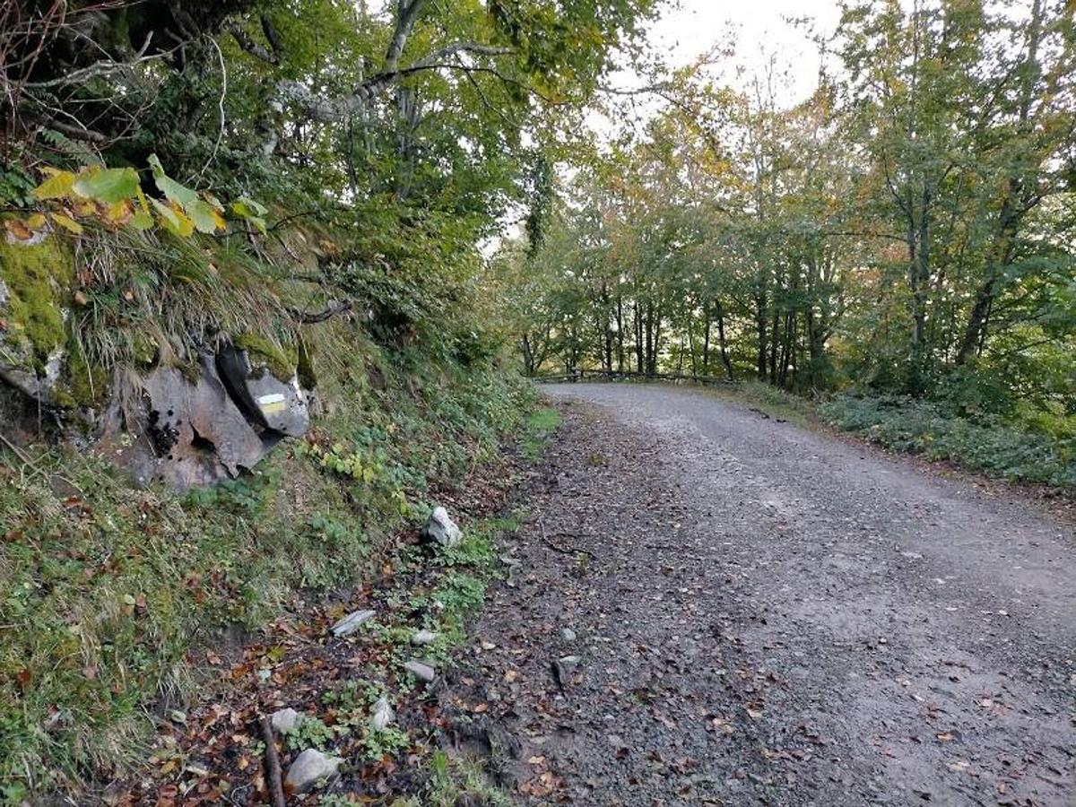 Fotos: Ruta otoñal hasta el refugio de Brañagallones