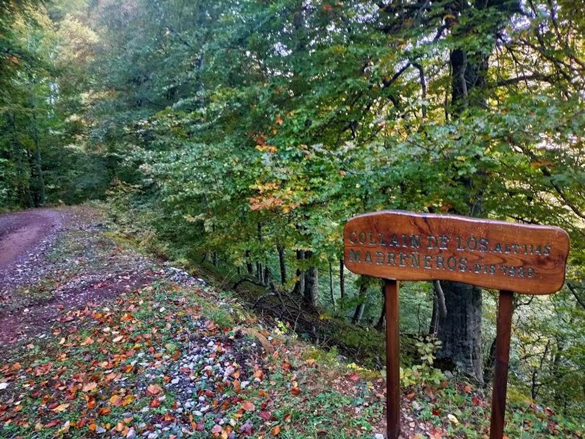 Fotos: Ruta otoñal hasta el refugio de Brañagallones