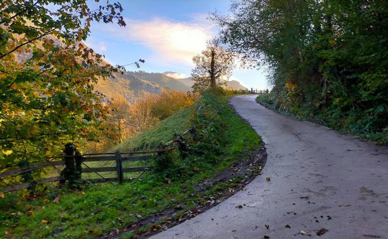 Consejos si vas a practicar senderismo en otoño