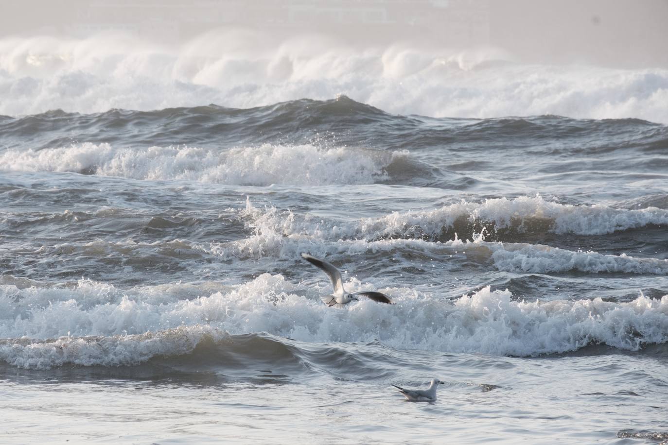 El fuerte oleaje registrado este jueves en Asturias levantó mucha expectación. Muchos curiosos se acercaron hasta la costa para comprobar olas de hasta siete metros. En algunos lugares del Principado llegaron a provocar daños en embarcaciones