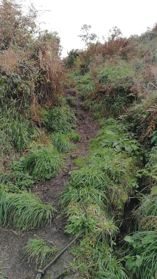 Fotos: Paseo hasta la cascada de la Mexona