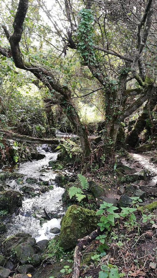 Fotos: Paseo hasta la cascada de la Mexona