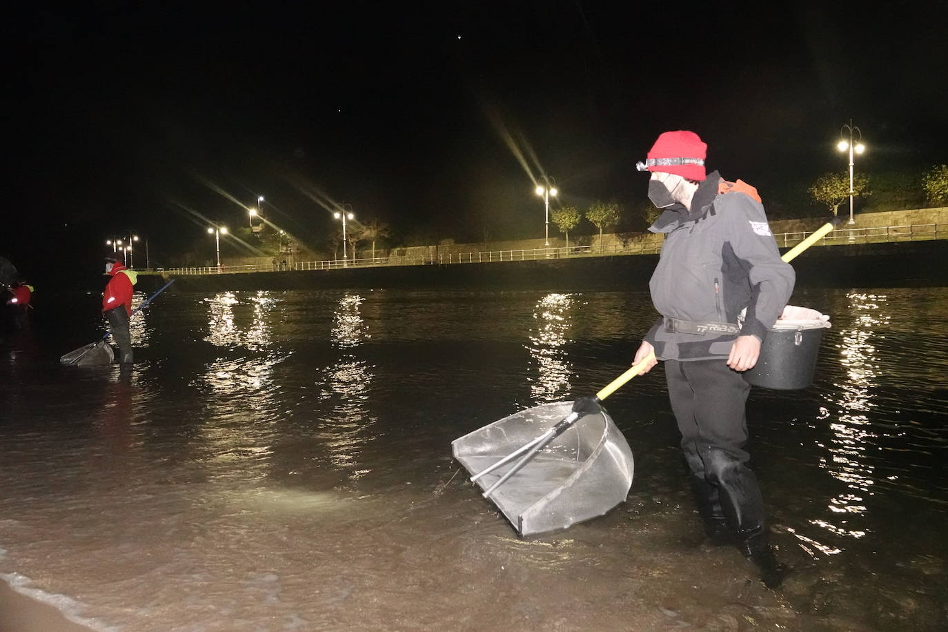 Este domingo dio comienzo la campaña de angula en Ribadesella. En el sector hay mucha preocupación por los bajos precios que puede alcanzar ante las continuas amenazas de confinamiento y la situación de la hostelería.