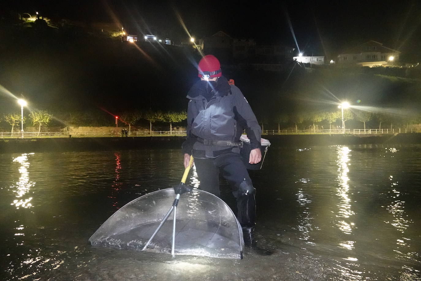 Este domingo dio comienzo la campaña de angula en Ribadesella. En el sector hay mucha preocupación por los bajos precios que puede alcanzar ante las continuas amenazas de confinamiento y la situación de la hostelería.