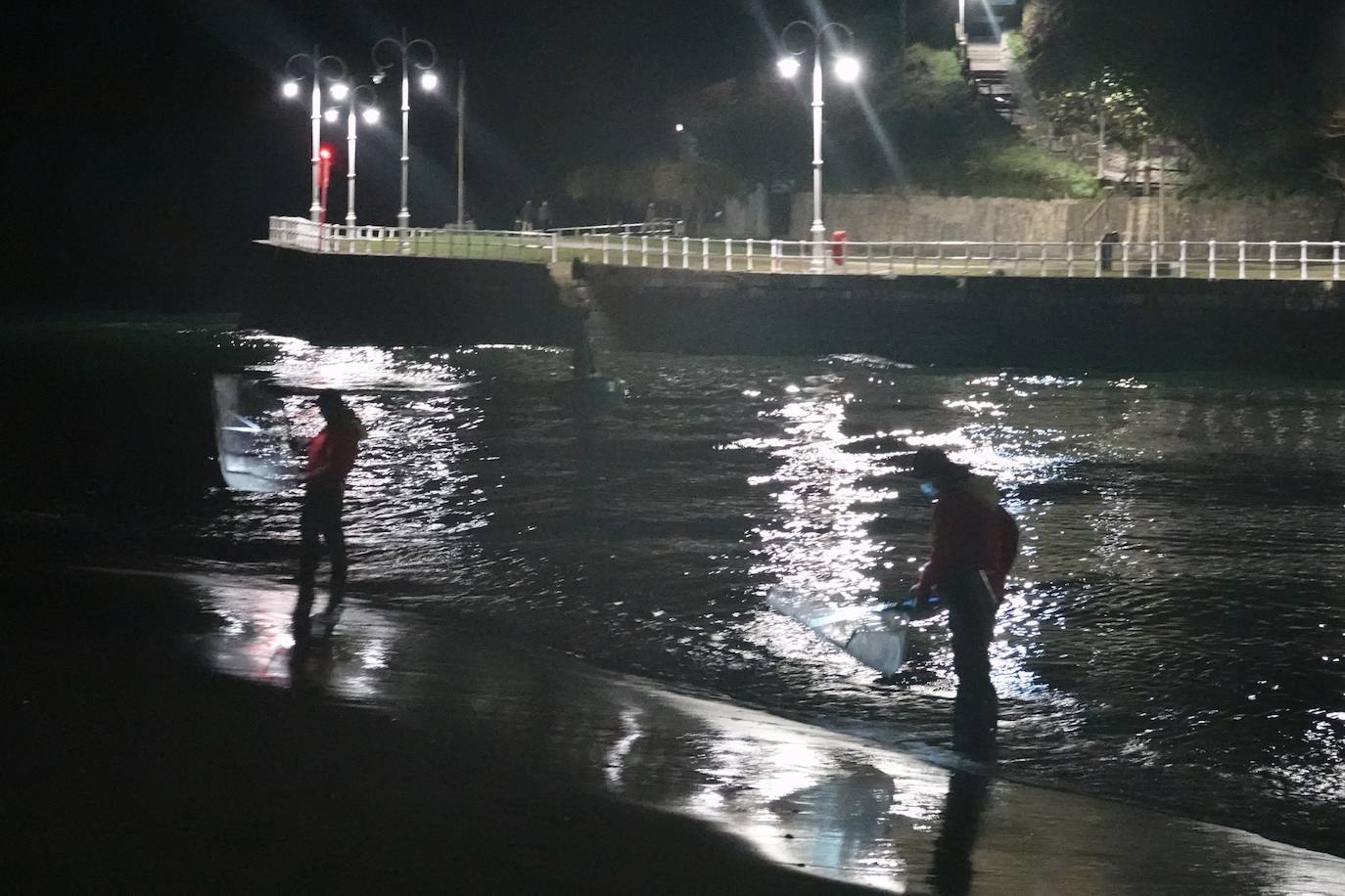 Este domingo dio comienzo la campaña de angula en Ribadesella. En el sector hay mucha preocupación por los bajos precios que puede alcanzar ante las continuas amenazas de confinamiento y la situación de la hostelería.