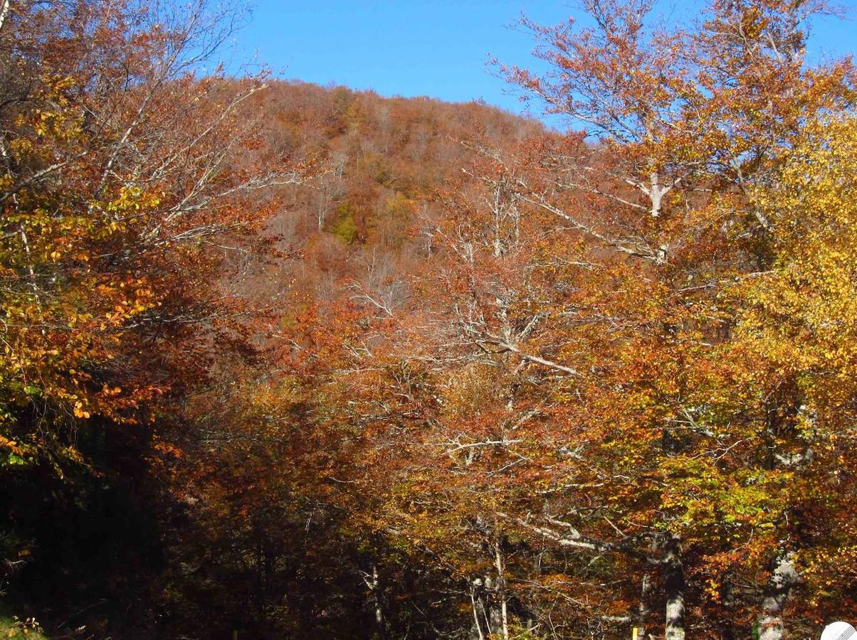 Fotos: Paseo otoñal hasta los corros de la Braña de las Cadenas
