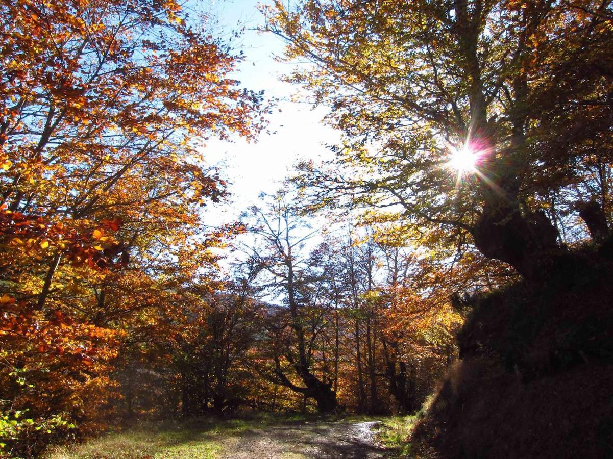 Fotos: Paseo otoñal hasta los corros de la Braña de las Cadenas