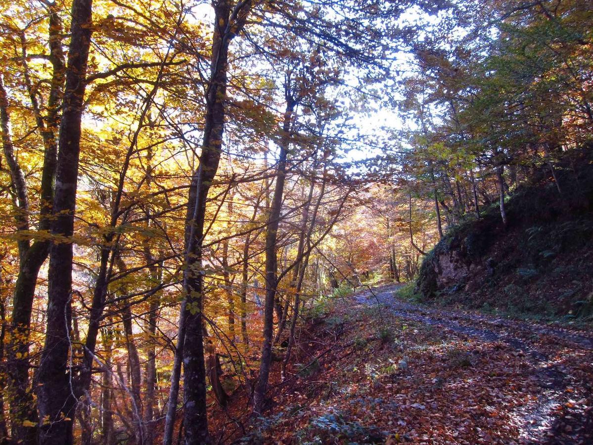 Fotos: Paseo otoñal hasta los corros de la Braña de las Cadenas