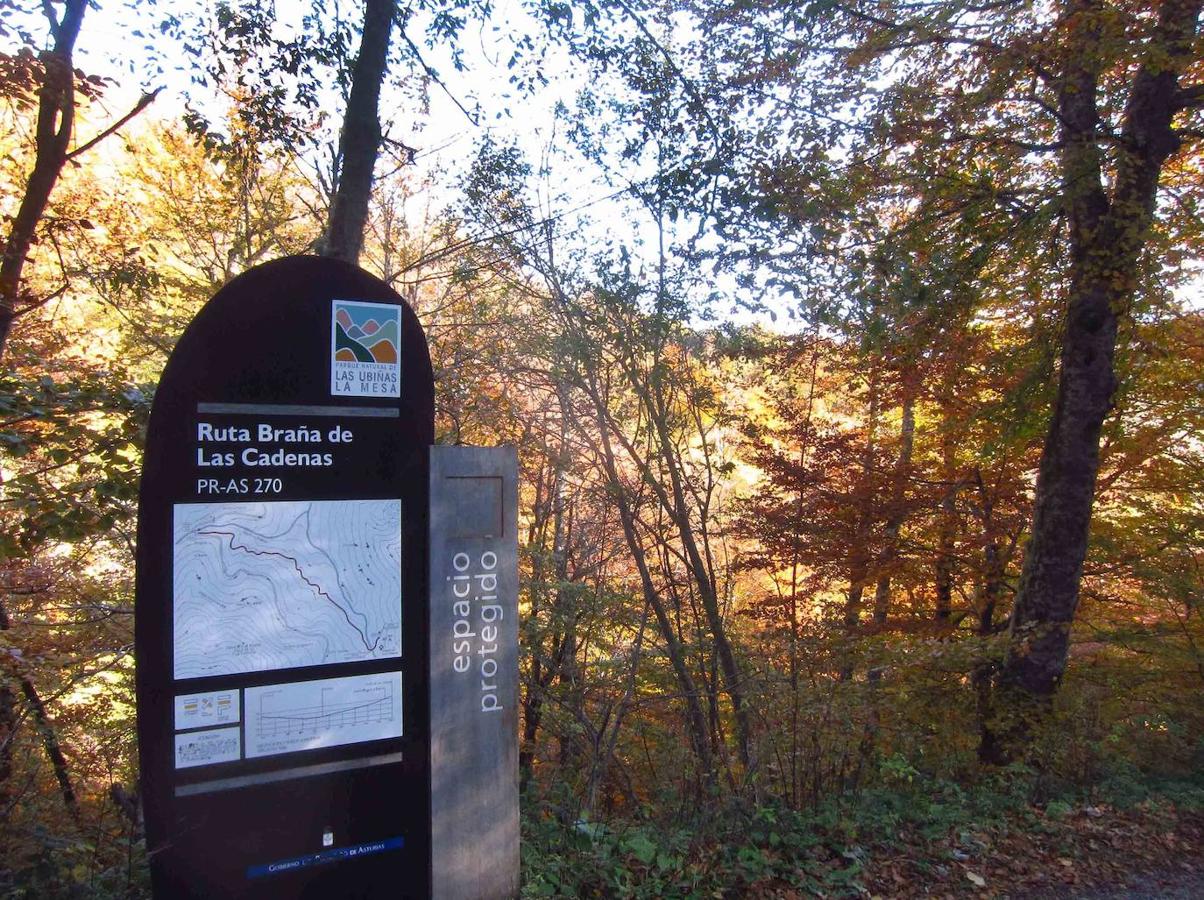 Fotos: Paseo otoñal hasta los corros de la Braña de las Cadenas