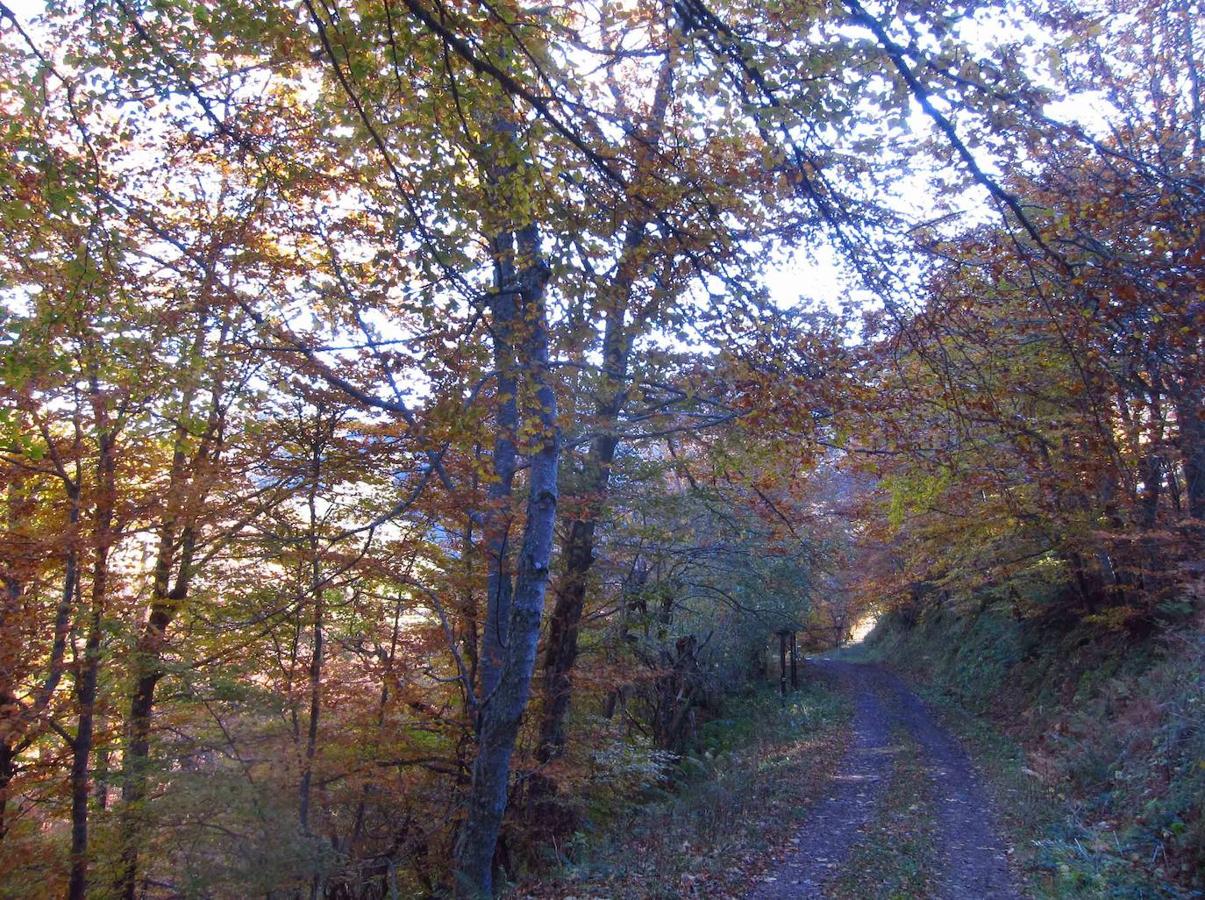 Fotos: Paseo otoñal hasta los corros de la Braña de las Cadenas
