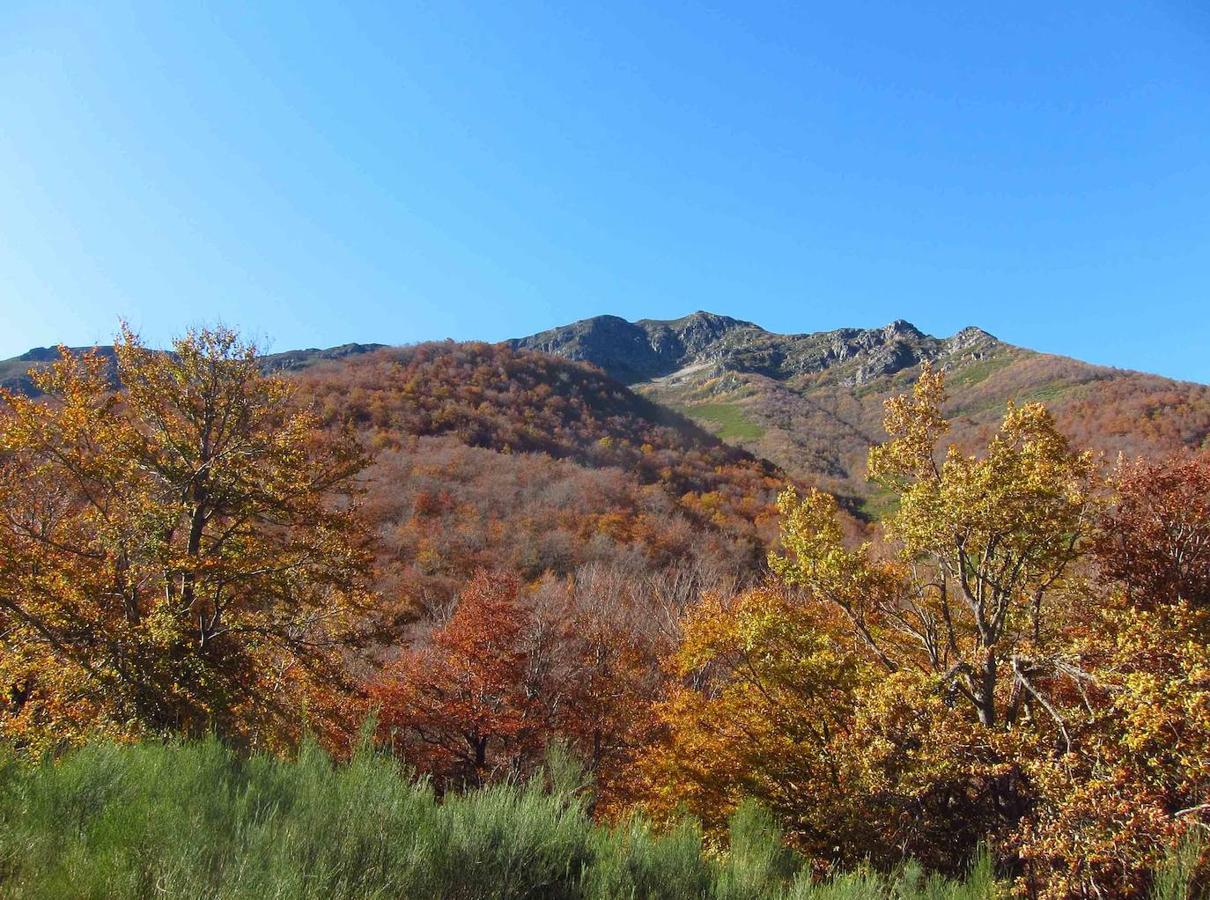 Fotos: Paseo otoñal hasta los corros de la Braña de las Cadenas