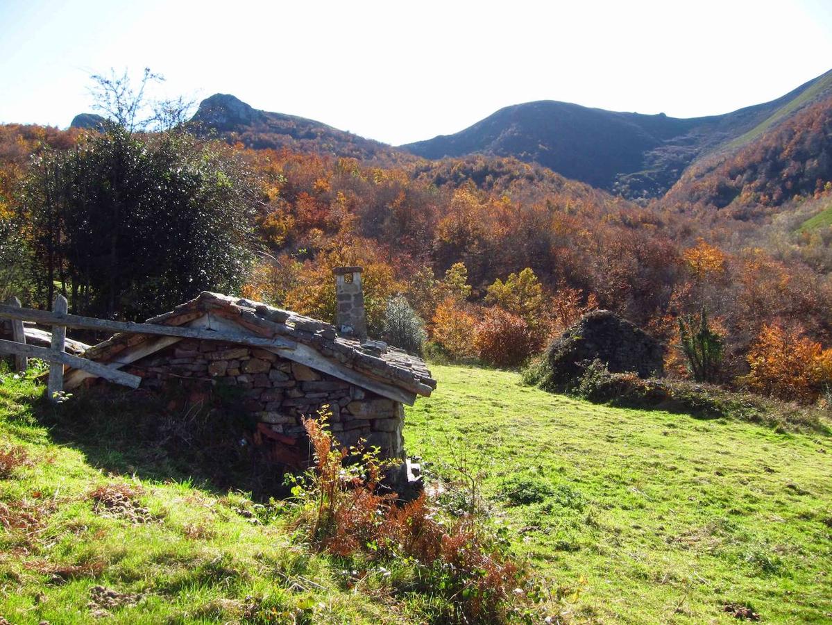 Fotos: Paseo otoñal hasta los corros de la Braña de las Cadenas