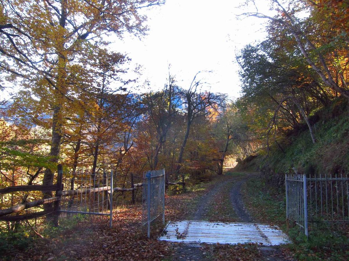 Fotos: Paseo otoñal hasta los corros de la Braña de las Cadenas