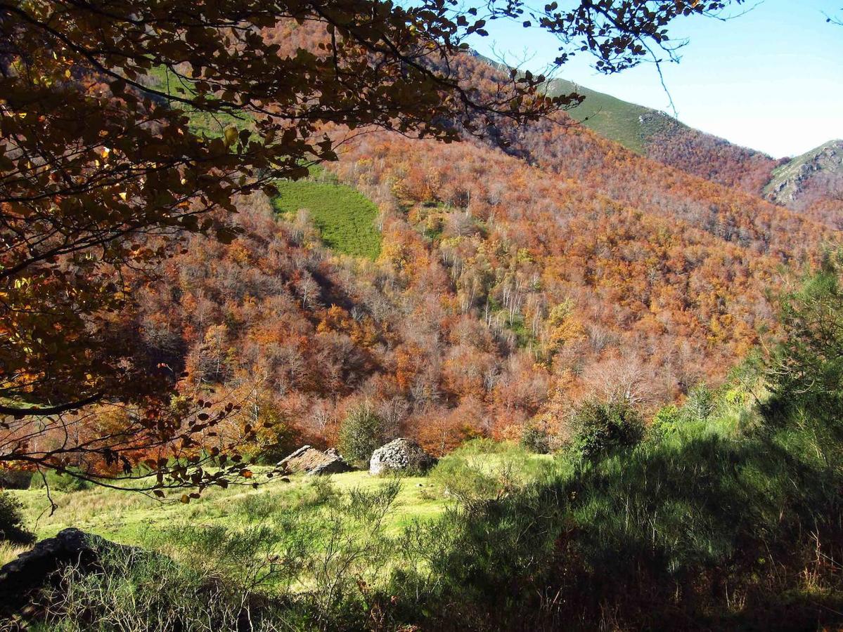 Fotos: Paseo otoñal hasta los corros de la Braña de las Cadenas