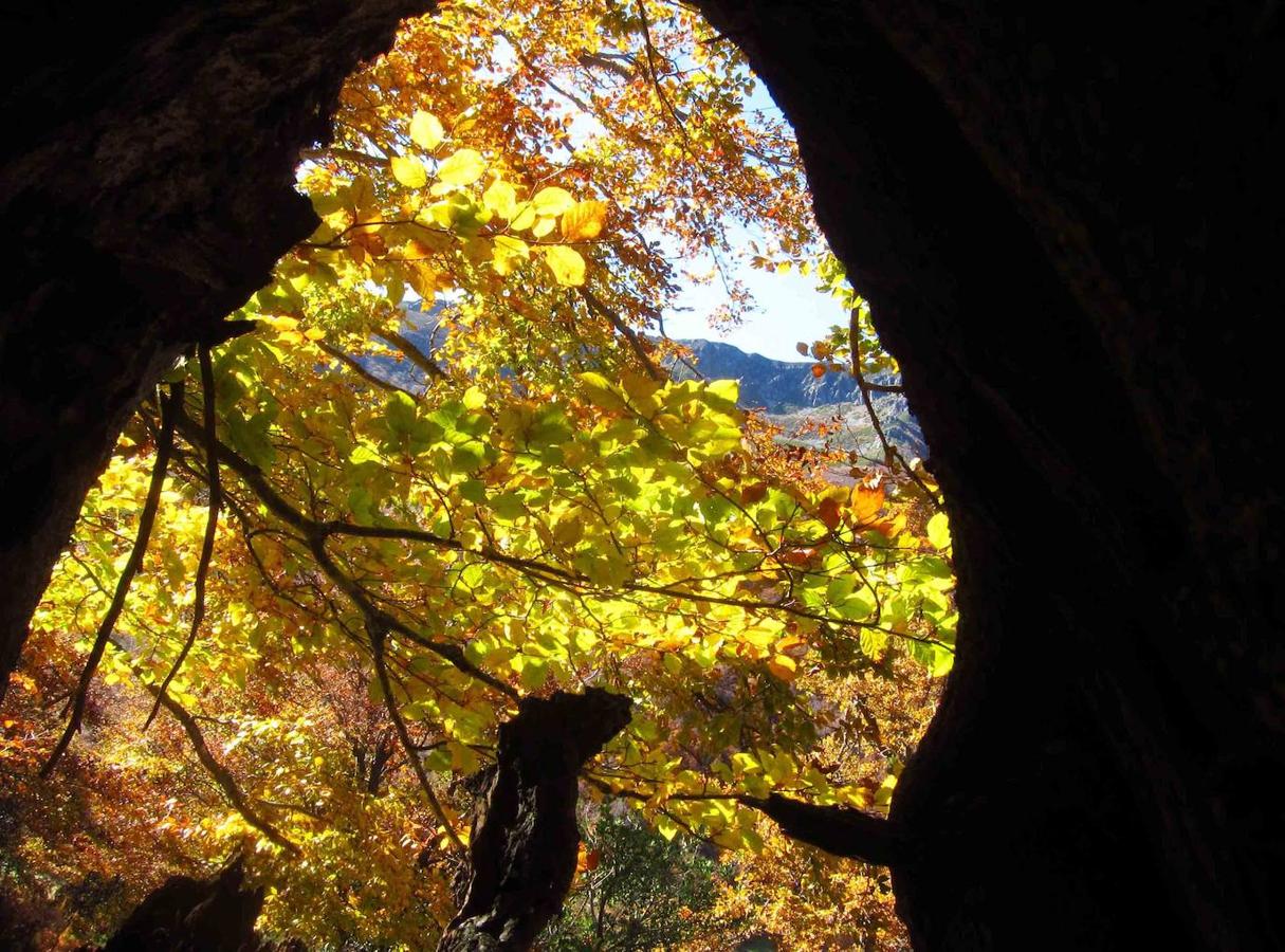 Fotos: Paseo otoñal hasta los corros de la Braña de las Cadenas