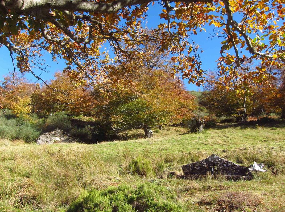Fotos: Paseo otoñal hasta los corros de la Braña de las Cadenas