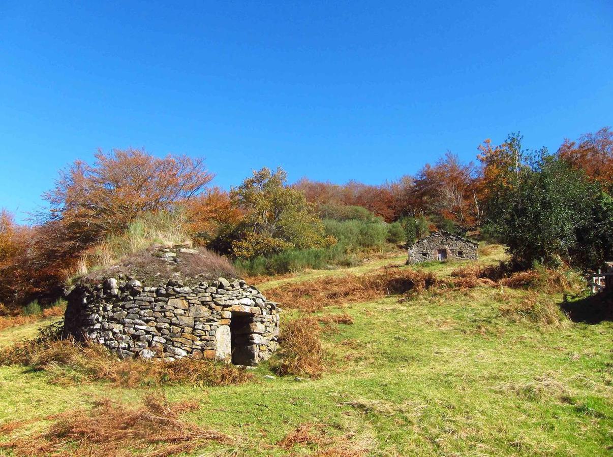 Fotos: Paseo otoñal hasta los corros de la Braña de las Cadenas