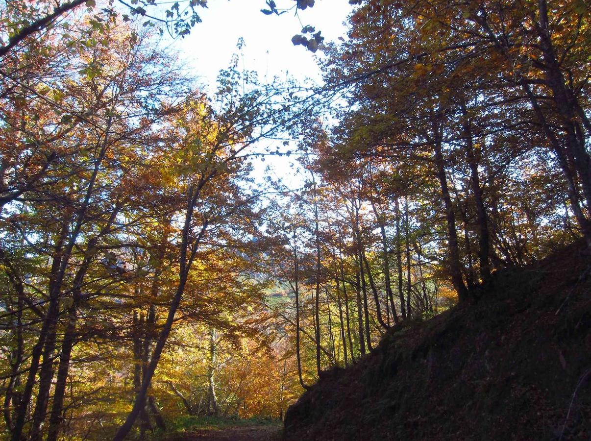 Fotos: Paseo otoñal hasta los corros de la Braña de las Cadenas