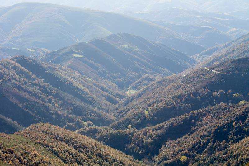 La sierra de Os Ancares, al este de la provincia de Lugo, en la frontera con las comunidades de Asturias y Castilla y León, se distribuye a lo largo de más de 50.000 hectáreas. Con una infinita red de senderos cruza profundos valles y asciende hasta cumbres de 2.000 metros de altura. En otoño el manto vegetal adquiere tonos rojizos. En invierno, esta zona permanece cubierta por la nieve, algo que cambia con la llegada de la primavera, cuando las aguas del deshielo fluyen desde las cumbres hasta las zonas bajas, formando numerosos riachuelos y pequeñas cascadas. 