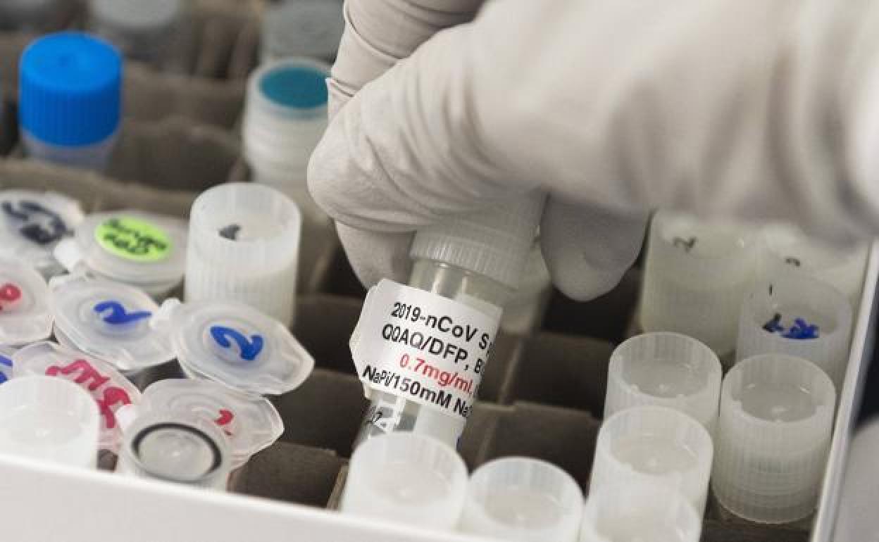 Coronavirus | Pfizer quiere involucrar a su planta española en la fase final de la vacuna