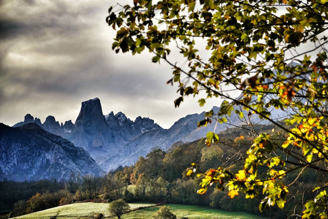 Los colores del otoño, e incluso el blanco de la nieve, ya han teñido los rincones de los Picos de Europa, uno de los lugares más imponentes de Asturias. En este espacio encontraremos las cumbres más altas de la Cordillera Cantábrica como la más emblemática: el Picu Urriellu o Naranjo de Bulnes con sus 2.519 metros de altitud. Un total de 67.127 hectáreas que conforman una de las mejores reservas mundiales de los ecosistemas ligados al bosque atlántico.