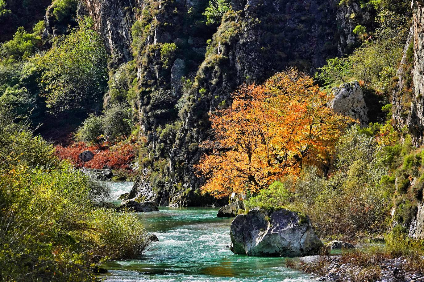 Los colores del otoño, e incluso el blanco de la nieve, ya han teñido los rincones de los Picos de Europa, uno de los lugares más imponentes de Asturias. En este espacio encontraremos las cumbres más altas de la Cordillera Cantábrica como la más emblemática: el Picu Urriellu o Naranjo de Bulnes con sus 2.519 metros de altitud. Un total de 67.127 hectáreas que conforman una de las mejores reservas mundiales de los ecosistemas ligados al bosque atlántico.