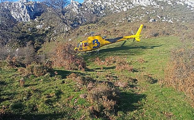 La intervención de Bomberos de Asturias.
