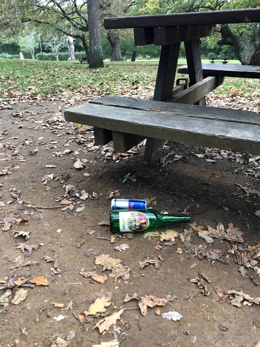 Los espacios verdes de la zona rural estuvieron ayer llenos de gente comiendo y merendando 