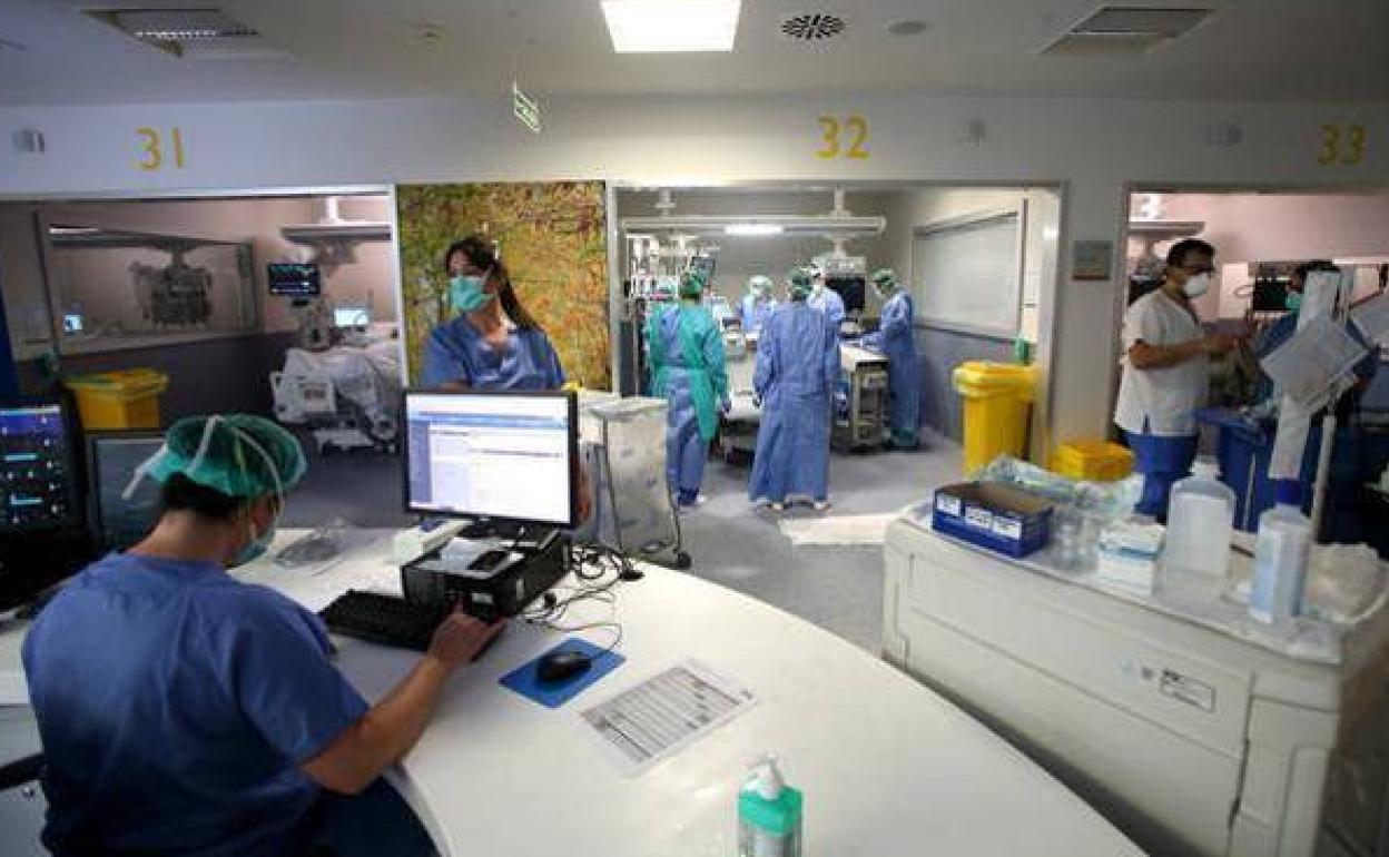 Coronavirus | La pandemia no da tregua: 14 muertes, 400 contagios y 130 hospitalizaciones