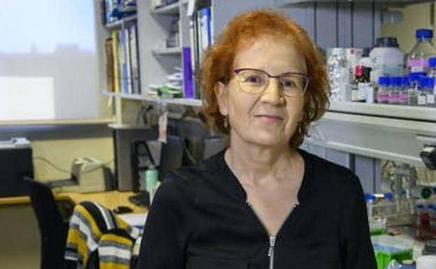 La viróloga Margarita del Val, pesimista sobre la eficacia de las vacunas: «Protegen de los casos leves o moderados»