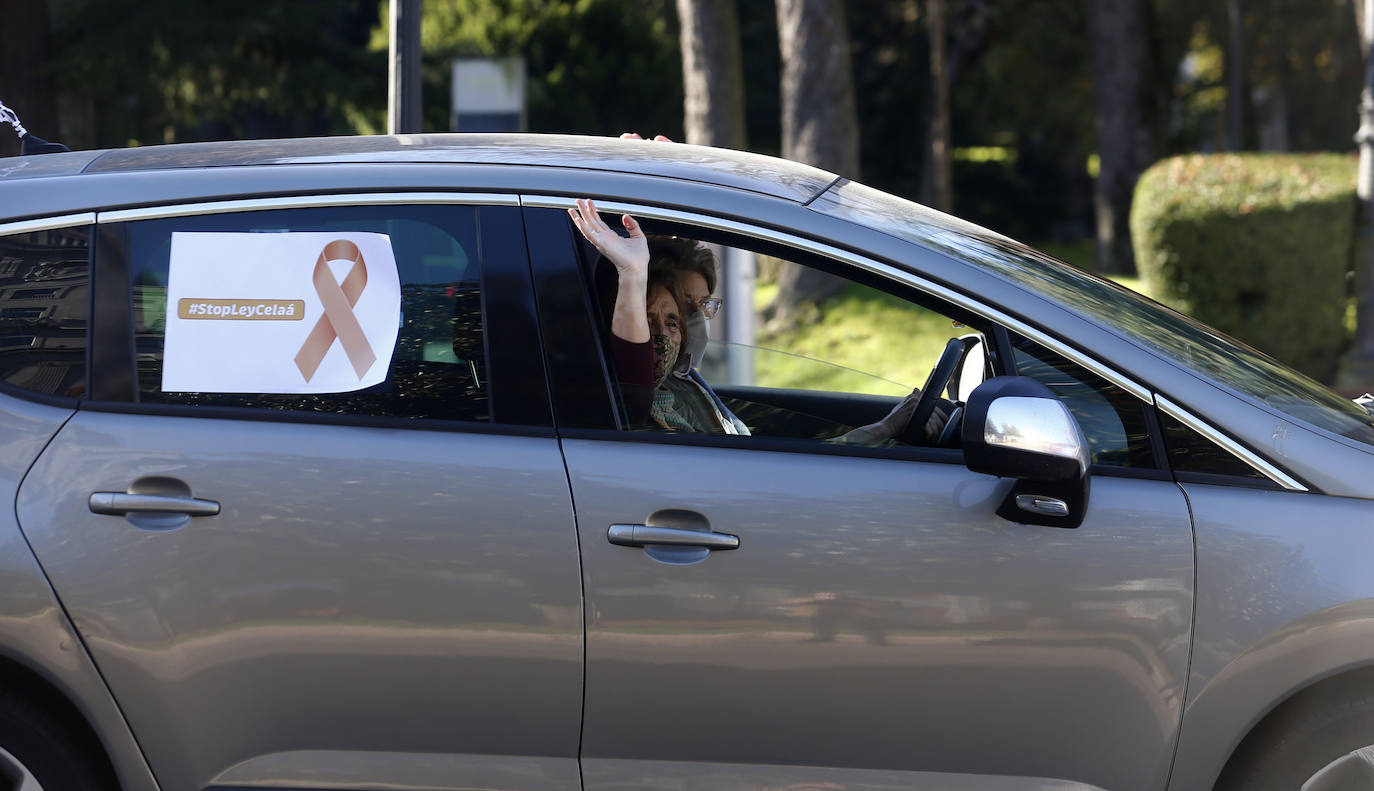 Protestan contra «el control político de la educación» y «los recortes en la libertad de enseñanza»