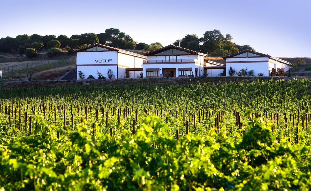 Bodega Vetus, en Toro 