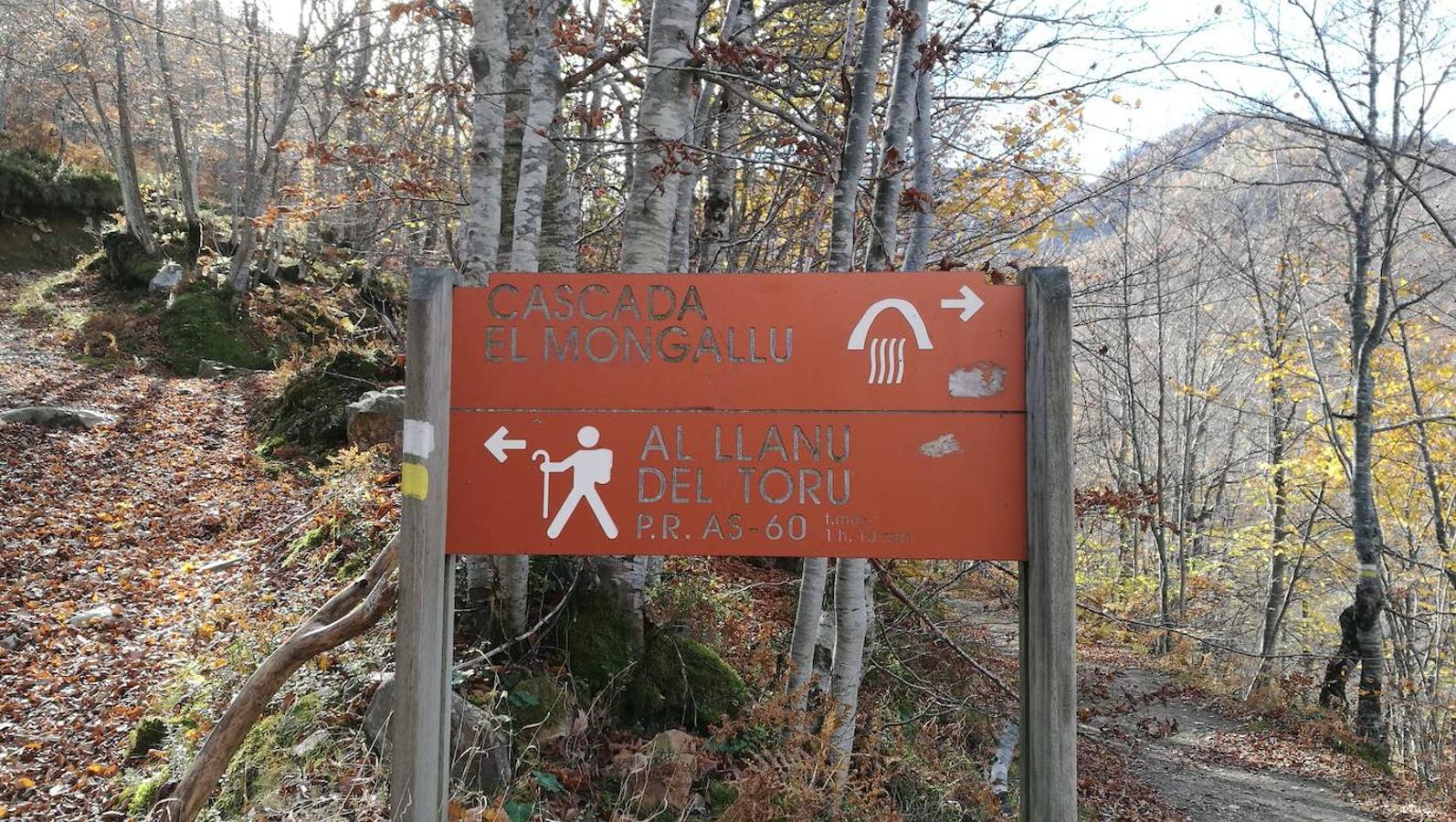 Fotos: Ruta a la Cascada del Tabayón del Mongallu