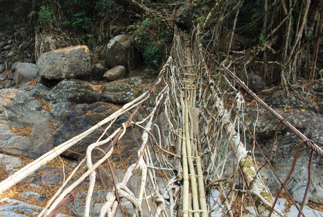 Jingkieng Nongriat (India). Se trata de una pasarela natural que cuenta con una ímpresionante estructura formada por dos pisos colgantes de raíces vivas. Está ubicado en Nongriat, al noroeste de India, en uno de los lugares más húmedos del mundo y es capaz de soportar el peso de 50 personas. 