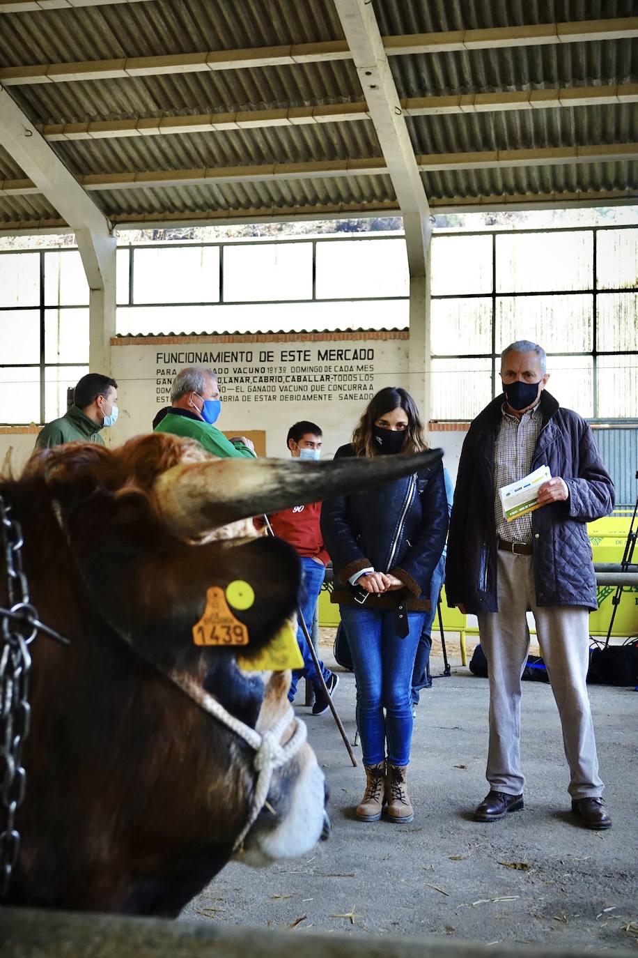 'Babiano', llegado desde León, fue el ejemplar más cotizado y finalmente se lo llevó a Llueves el ganadero cangués Máximo Sánchez por 1.950 euros