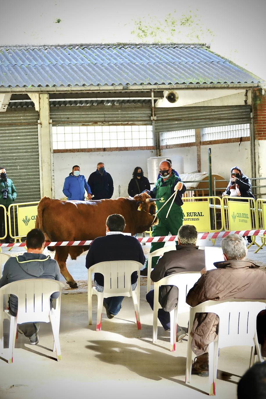'Babiano', llegado desde León, fue el ejemplar más cotizado y finalmente se lo llevó a Llueves el ganadero cangués Máximo Sánchez por 1.950 euros