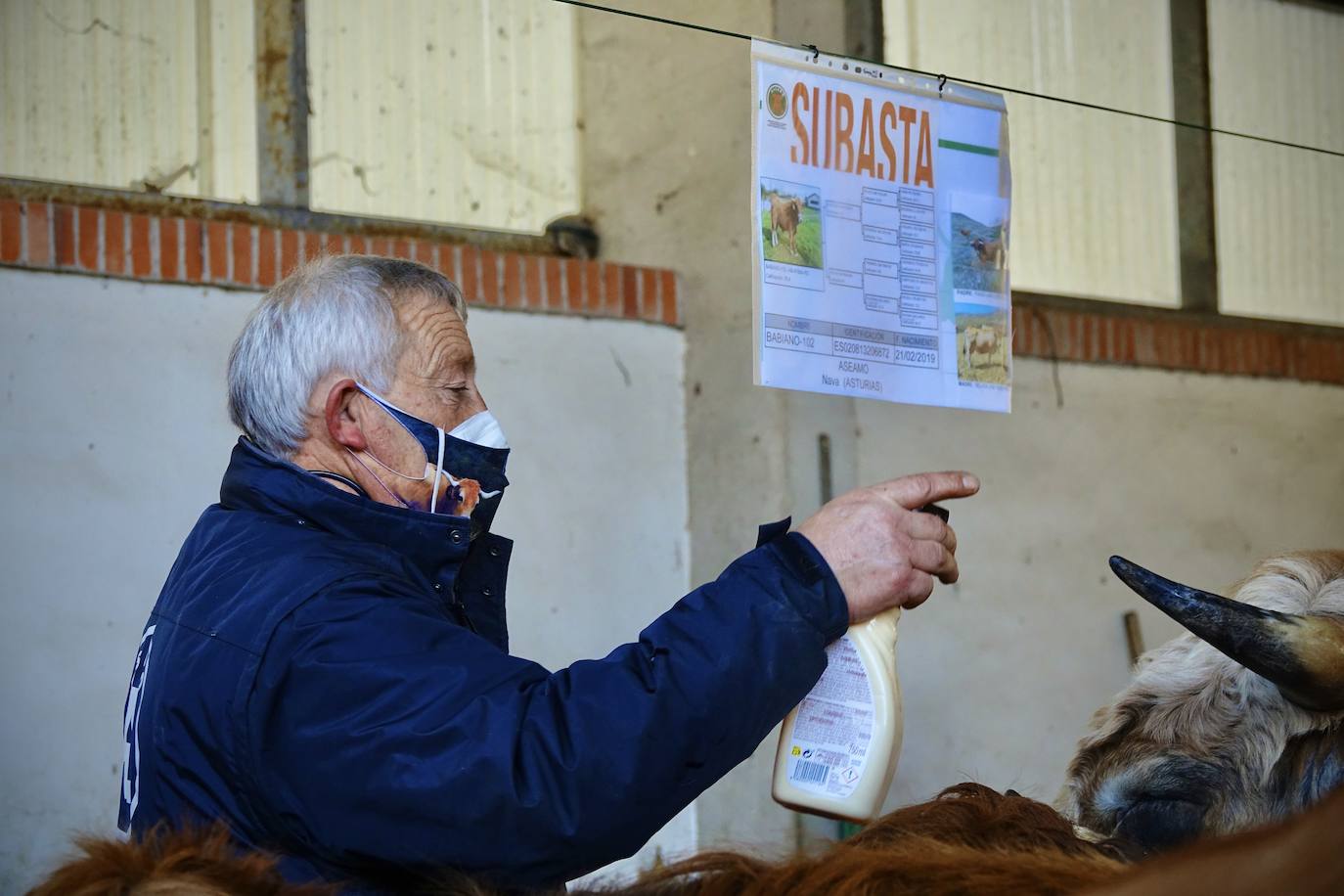 'Babiano', llegado desde León, fue el ejemplar más cotizado y finalmente se lo llevó a Llueves el ganadero cangués Máximo Sánchez por 1.950 euros