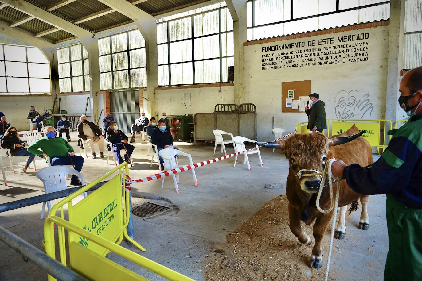 'Babiano', llegado desde León, fue el ejemplar más cotizado y finalmente se lo llevó a Llueves el ganadero cangués Máximo Sánchez por 1.950 euros