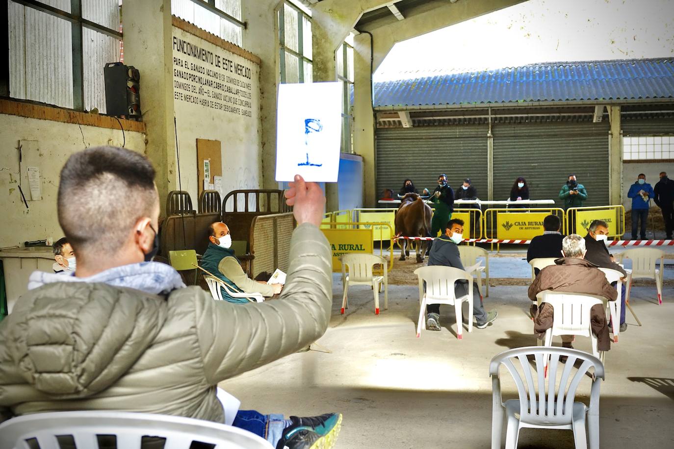 'Babiano', llegado desde León, fue el ejemplar más cotizado y finalmente se lo llevó a Llueves el ganadero cangués Máximo Sánchez por 1.950 euros