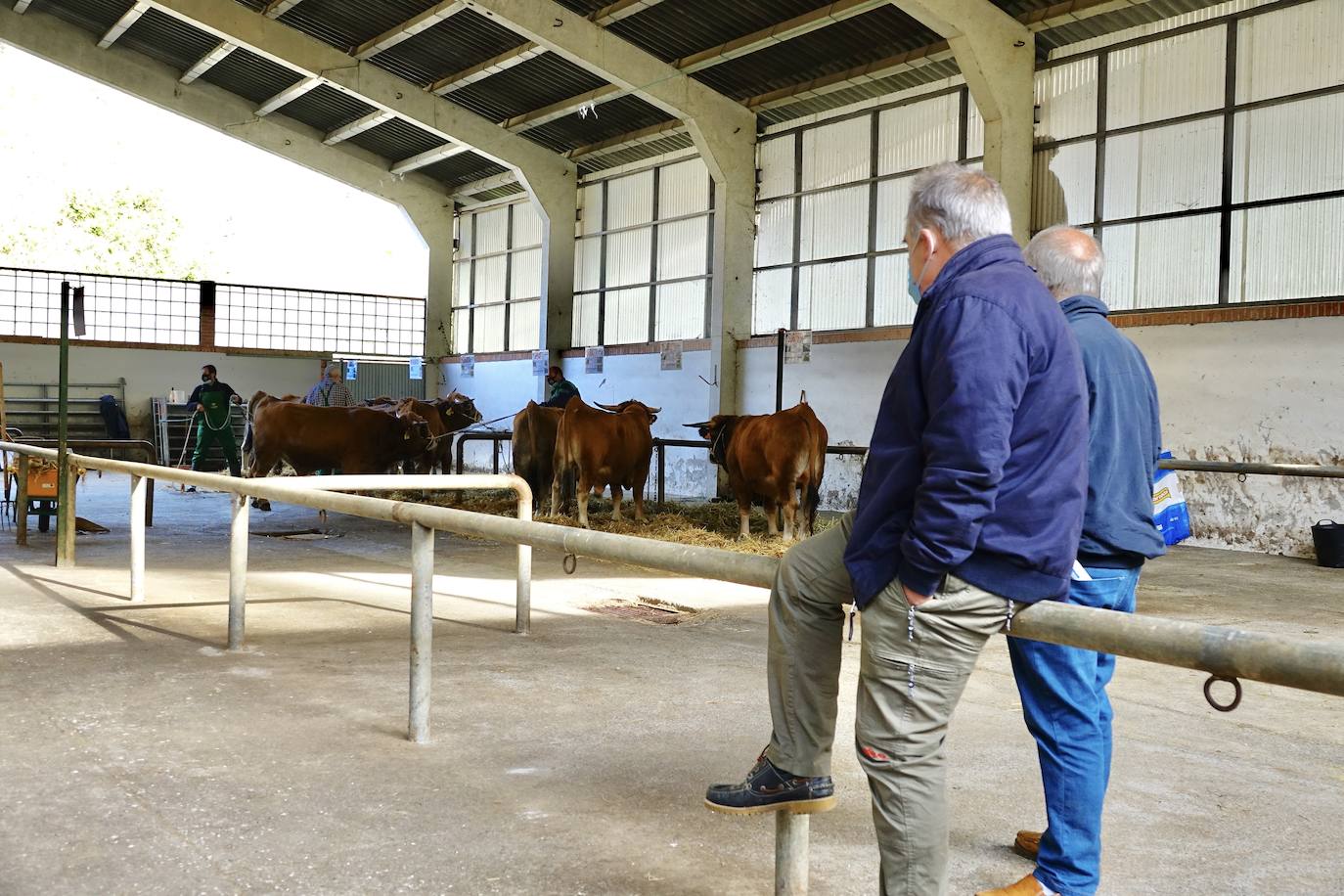 'Babiano', llegado desde León, fue el ejemplar más cotizado y finalmente se lo llevó a Llueves el ganadero cangués Máximo Sánchez por 1.950 euros