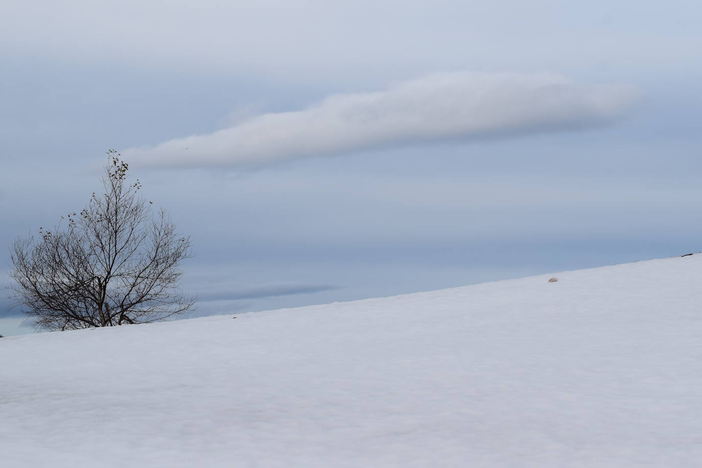 Estas cien imágenes son una selección de las fotografías captadas por los asturianos a lo largo de este año y que optaron a formar parte del calendario 'Escenas de Asturias', el concurso convocado por EL COMERCIO con el patrocinio del grupo El Gaitero. 