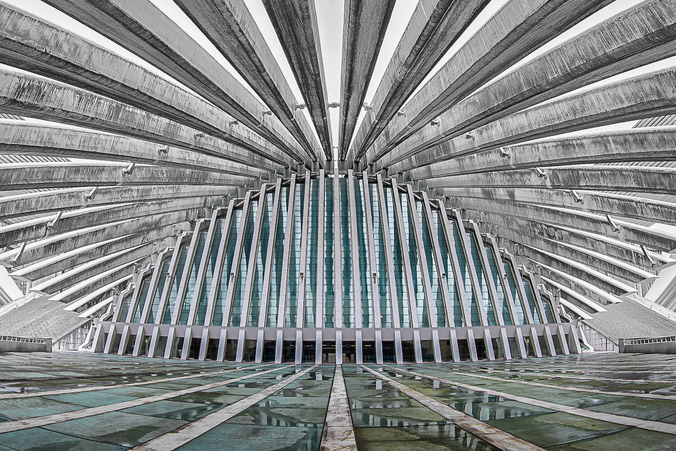 Estas cien imágenes son una selección de las fotografías captadas por los asturianos a lo largo de este año y que optaron a formar parte del calendario 'Escenas de Asturias', el concurso convocado por EL COMERCIO con el patrocinio del grupo El Gaitero. 