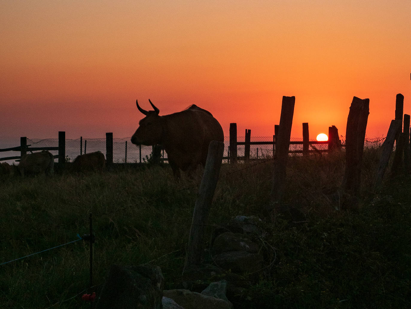 Estas cien imágenes son una selección de las fotografías captadas por los asturianos a lo largo de este año y que optaron a formar parte del calendario 'Escenas de Asturias', el concurso convocado por EL COMERCIO con el patrocinio del grupo El Gaitero. 
