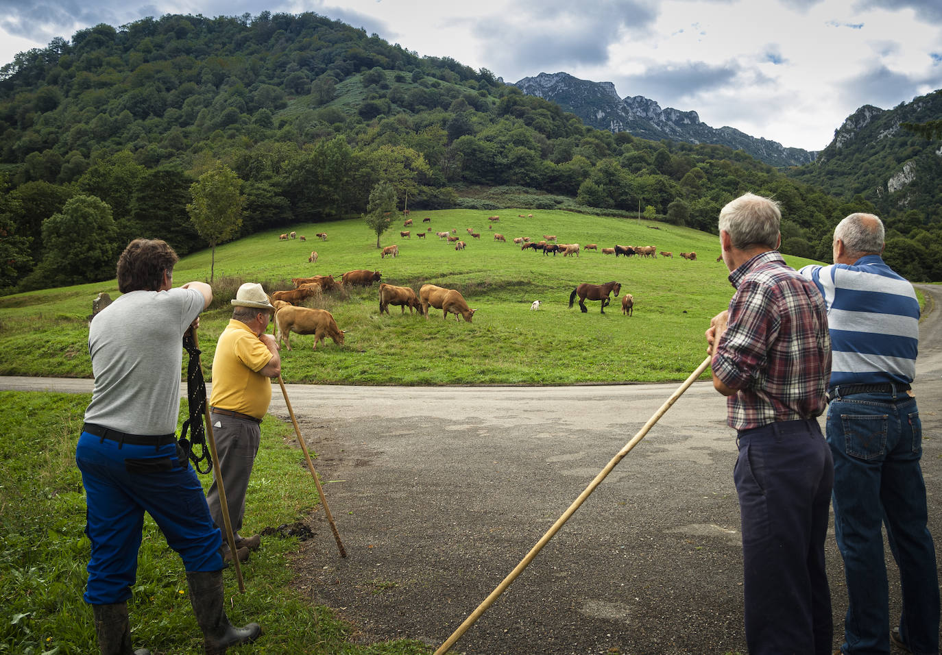 Estas cien imágenes son una selección de las fotografías captadas por los asturianos a lo largo de este año y que optaron a formar parte del calendario 'Escenas de Asturias', el concurso convocado por EL COMERCIO con el patrocinio del grupo El Gaitero. 