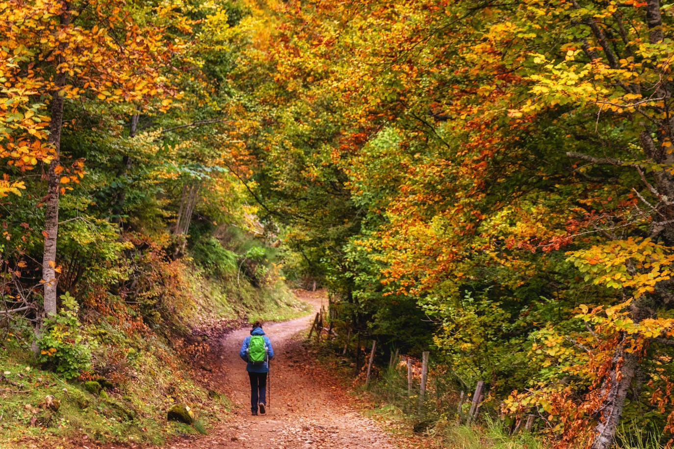 Estas cien imágenes son una selección de las fotografías captadas por los asturianos a lo largo de este año y que optaron a formar parte del calendario 'Escenas de Asturias', el concurso convocado por EL COMERCIO con el patrocinio del grupo El Gaitero. 