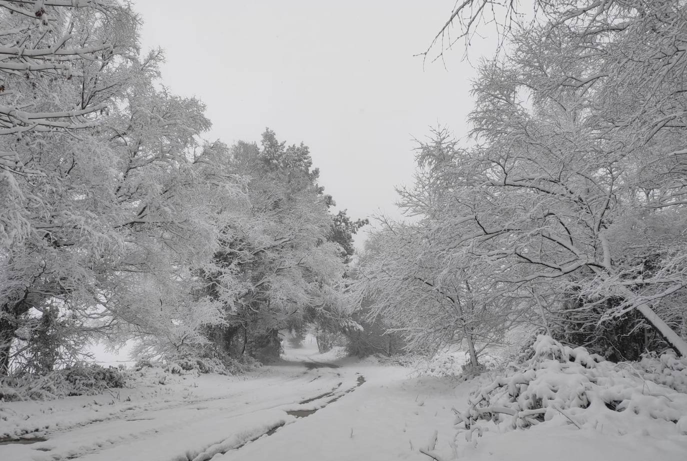 La región mantiene la alerta ante las fuertes rachas de viento y el riesgo de grandes nevadas y oleaje.