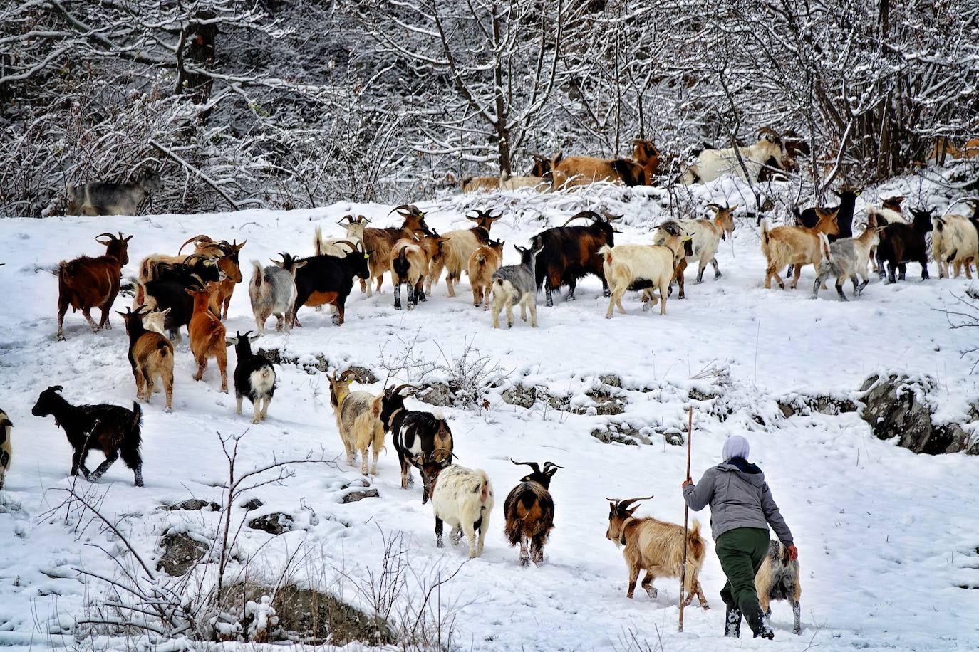 La región mantiene la alerta ante las fuertes rachas de viento y el riesgo de grandes nevadas y oleaje.