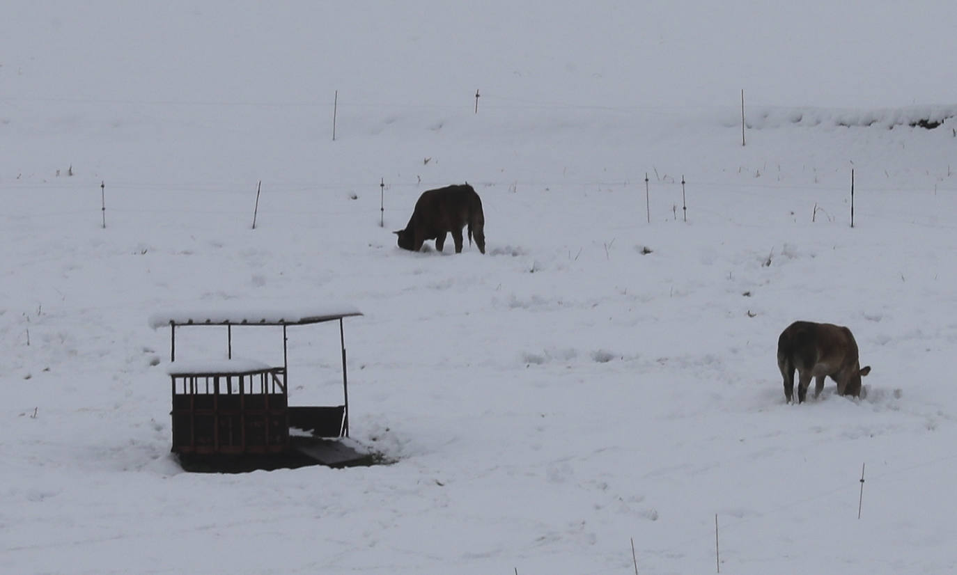 Copiosas nevadas, fuertes rachas de viento y oleaje en la primera borrasca invernal