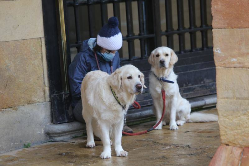 El primer temporal de invierno de la temporada ha dejado increíbles estampas.